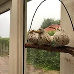 Huset I Gronnegade * Stubbekobing